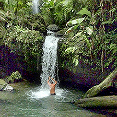 Juan Diego waterfalls in the el yunque rainforest